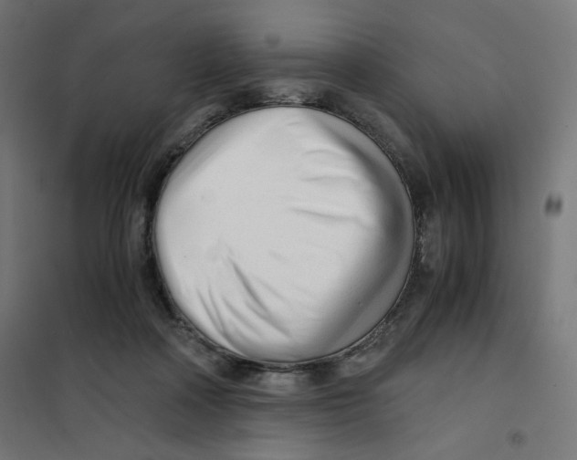 X0000101660314200808071027