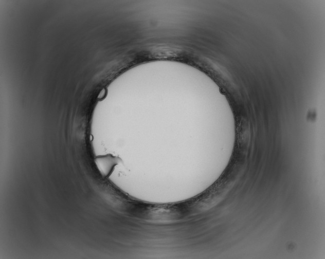 X0000101660315200808071027