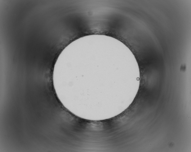 X0000101660317200808071027
