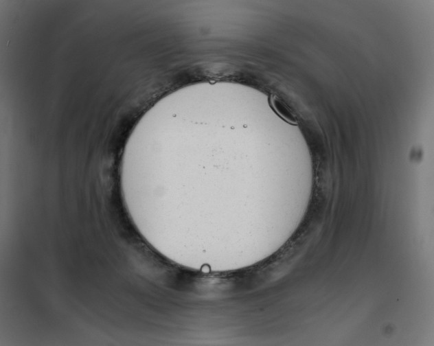 X0000101660319200808071027