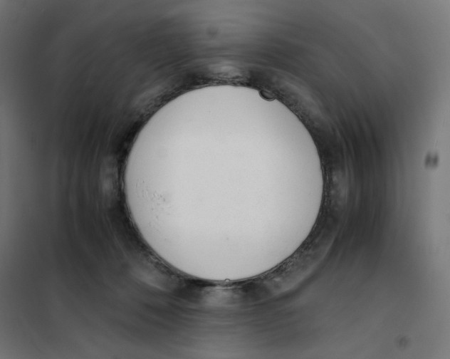 X0000101660320200808071027