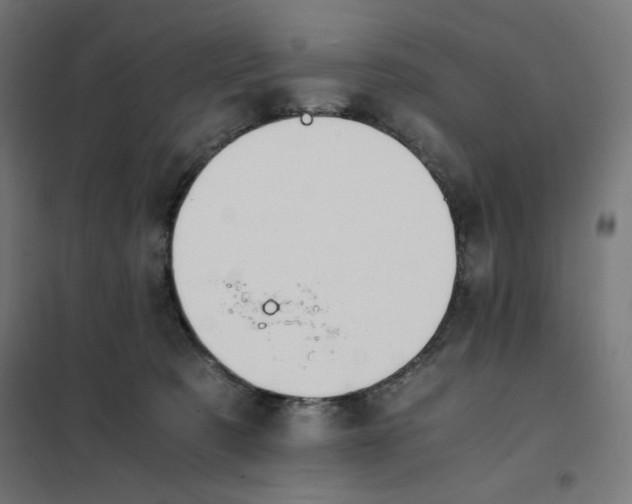 X0000101660321200808071027
