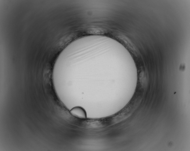 X0000101660322200808071027