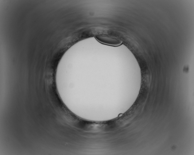 X0000101660323200808071027