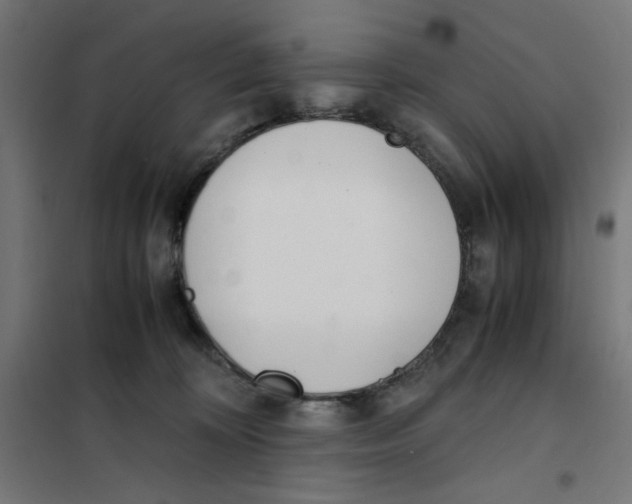 X0000101660324200808071027