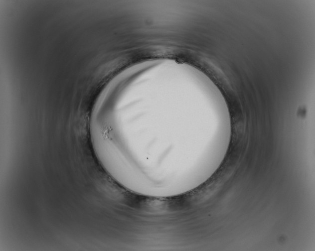X0000101660325200808071027