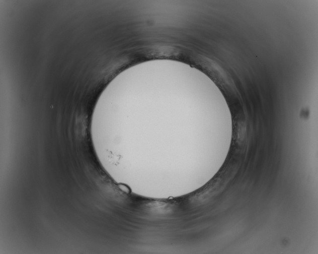 X0000101660326200808071027