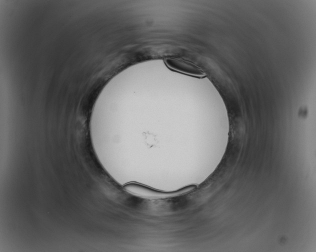 X0000101660327200808071027