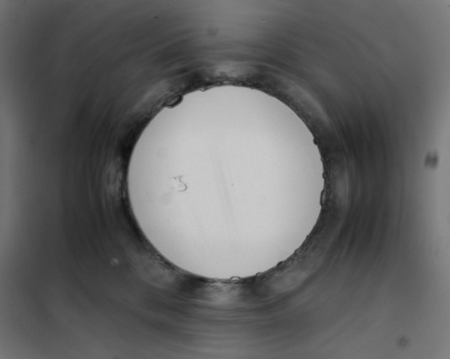 X0000101660328200808071027