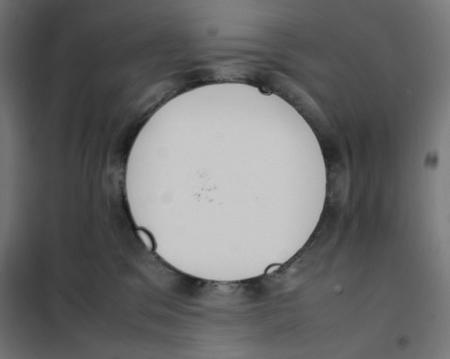 X0000101660329200808071027
