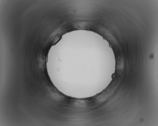 X0000101660332200808071027
