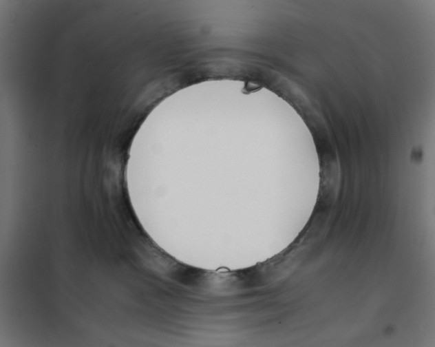 X0000101660333200808071027