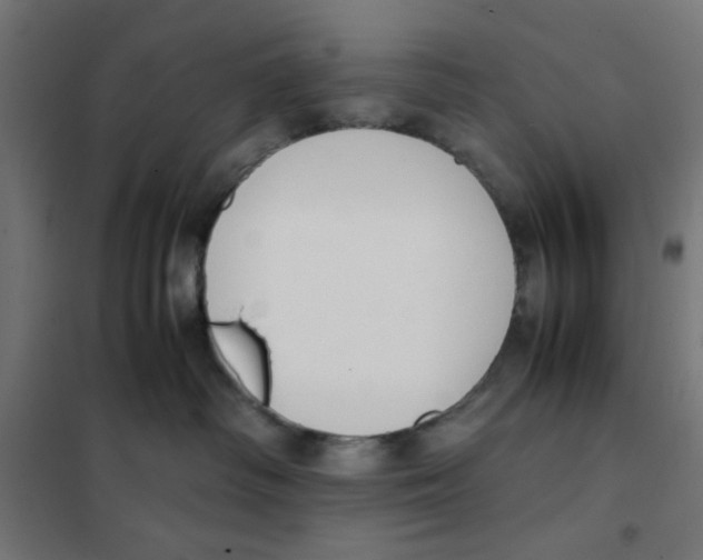 X0000101660334200808071027