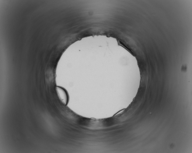 X0000101660335200808071027