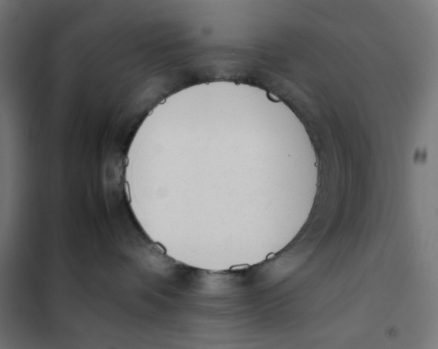 X0000101660336200808071027