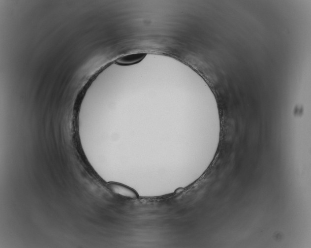 X0000101660338200808071026
