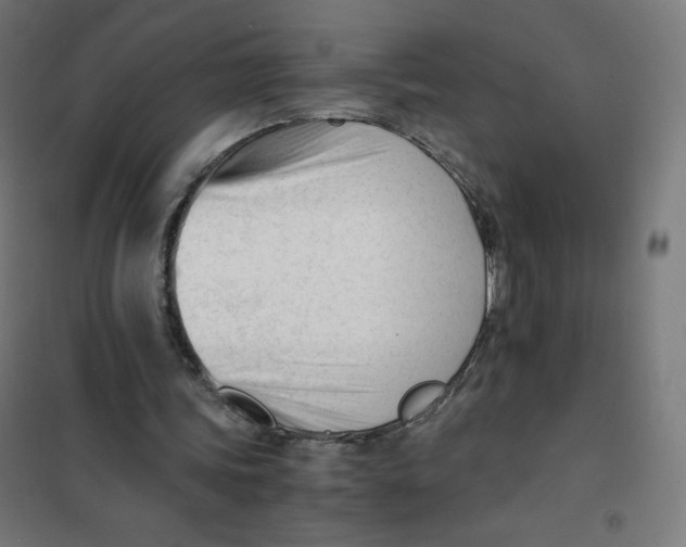X0000101660339200808071026