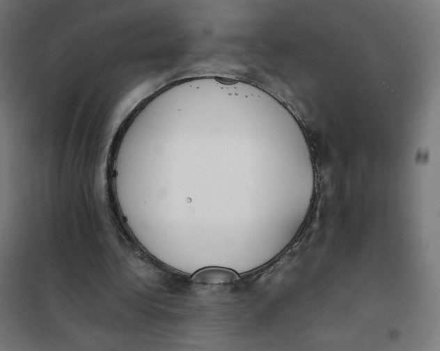X0000101660340200808071026
