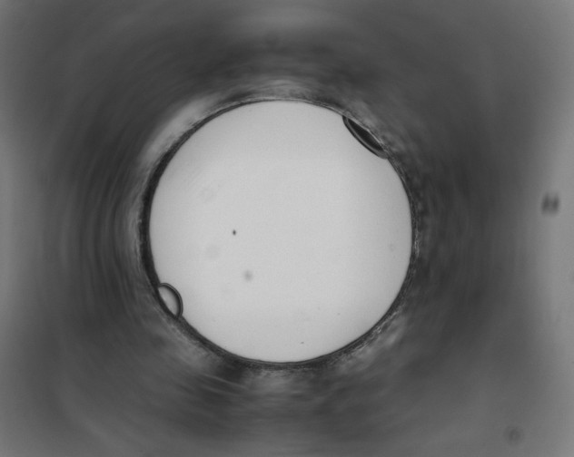 X0000101660341200808071026