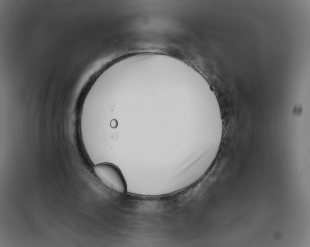 X0000101660342200808071026