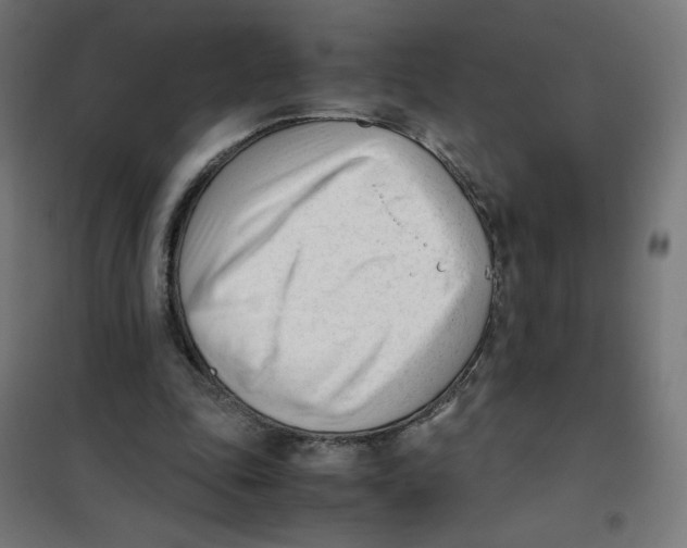 X0000101660343200808071026
