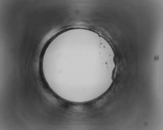 X0000101660344200808071026