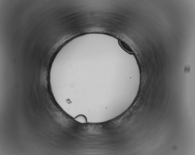 X0000101660345200808071026
