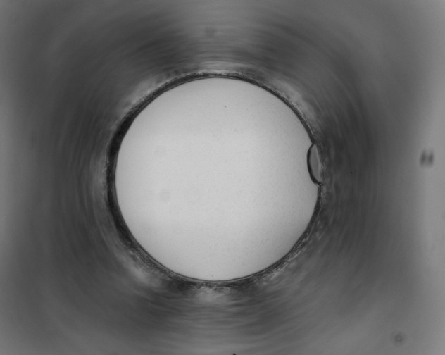 X0000101660346200808071026
