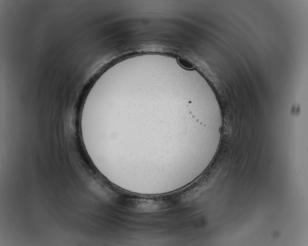 X0000101660347200808071026