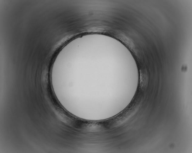 X0000101660348200808071026