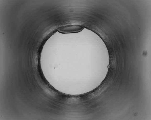 X0000101660350200808071026