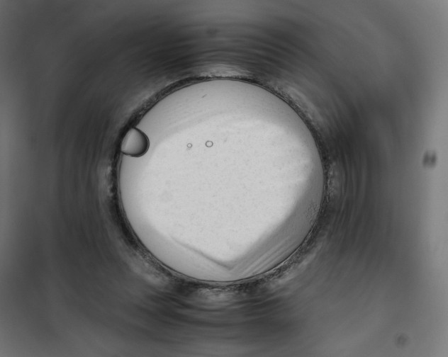 X0000101660351200808071026