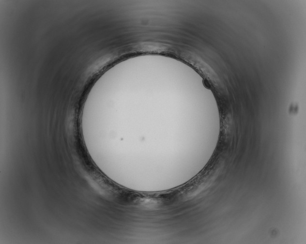 X0000101660352200808071026