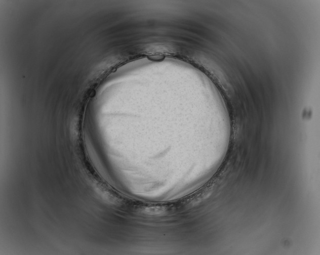 X0000101660353200808071026