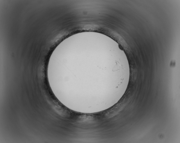 X0000101660354200808071026