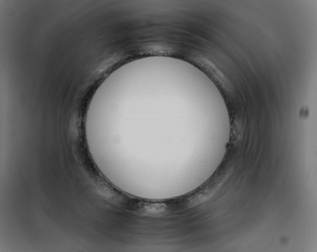 X0000101660355200808071026