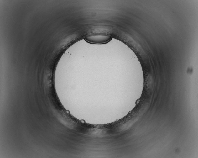 X0000101660356200808071026