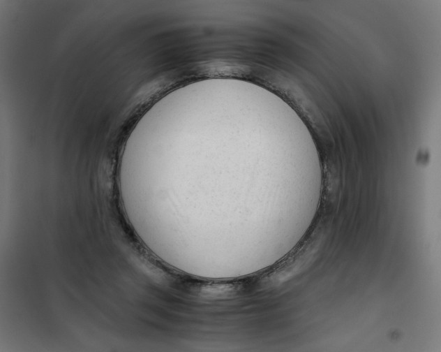 X0000101660357200808071026