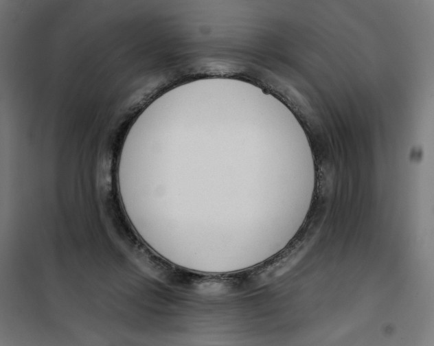 X0000101660358200808071026