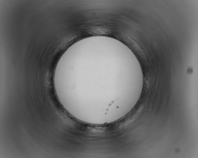 X0000101660359200808071026