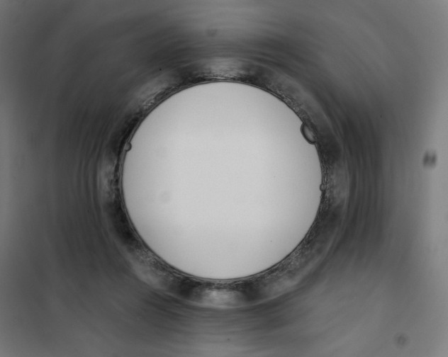 X0000101660360200808071026
