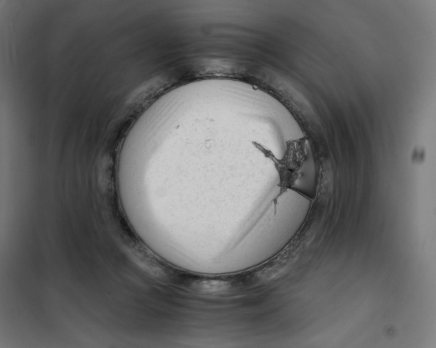 X0000101660361200808071026