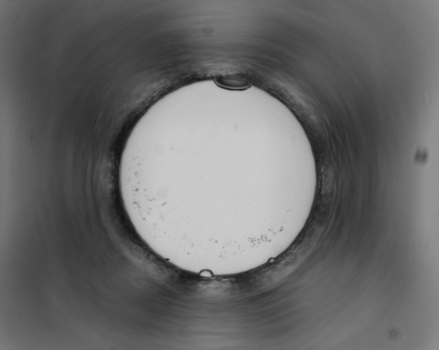 X0000101660362200808071026