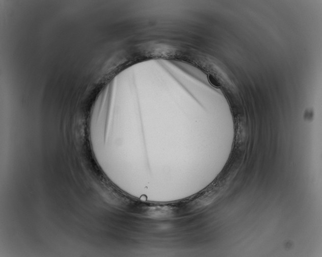 X0000101660363200808071026