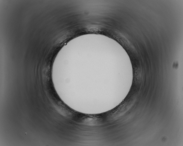 X0000101660364200808071026