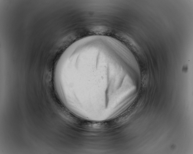 X0000101660365200808071027