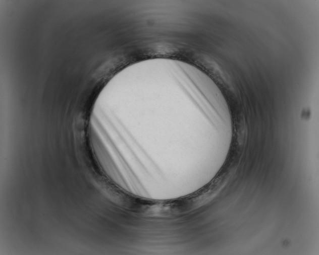 X0000101660366200808071027