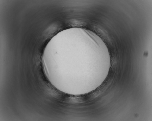 X0000101660367200808071027