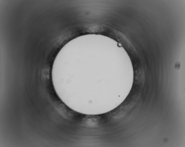 X0000101660368200808071027