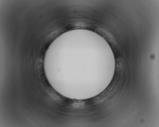 X0000101660369200808071027